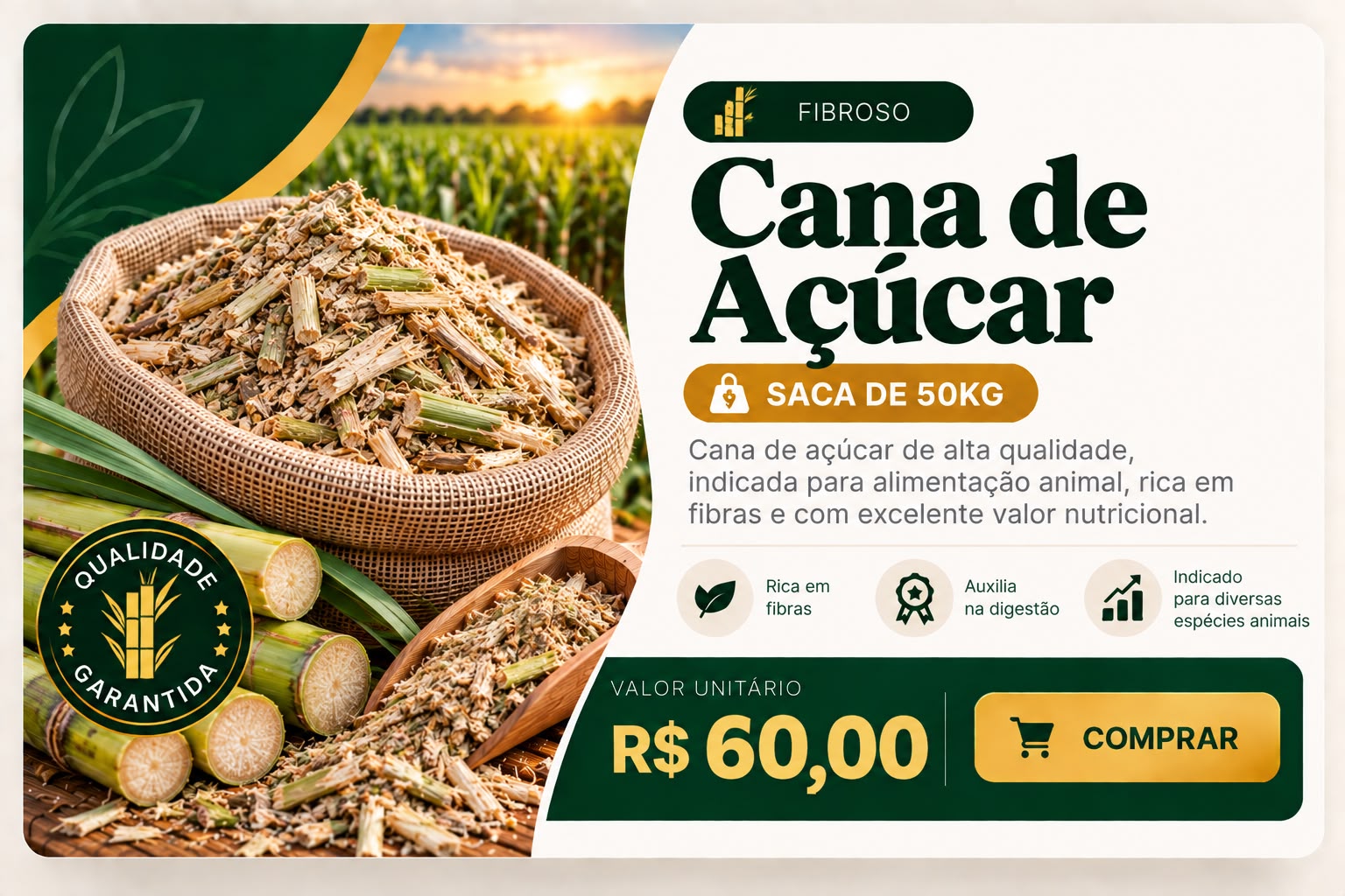 Cana de Açúcar