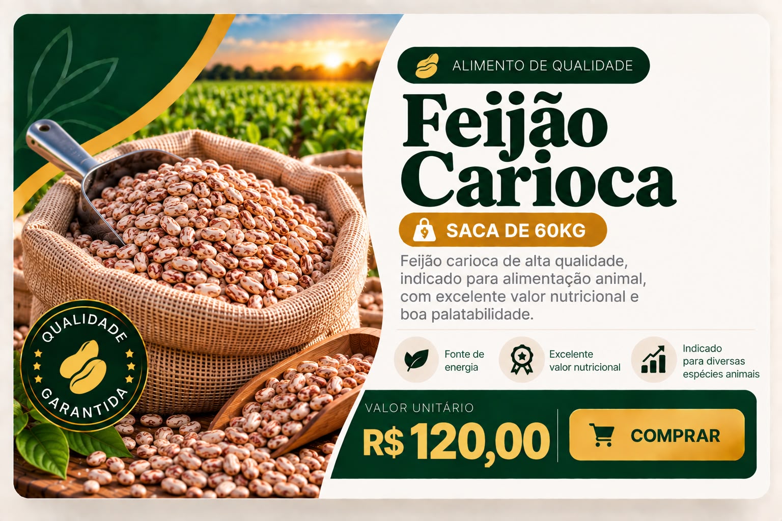 Feijão Carioca